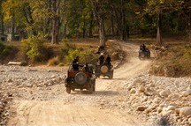 Jeeps with tourists on Safari in Corbet National Park Jeeps with tourists on Safari in Corbet National Park